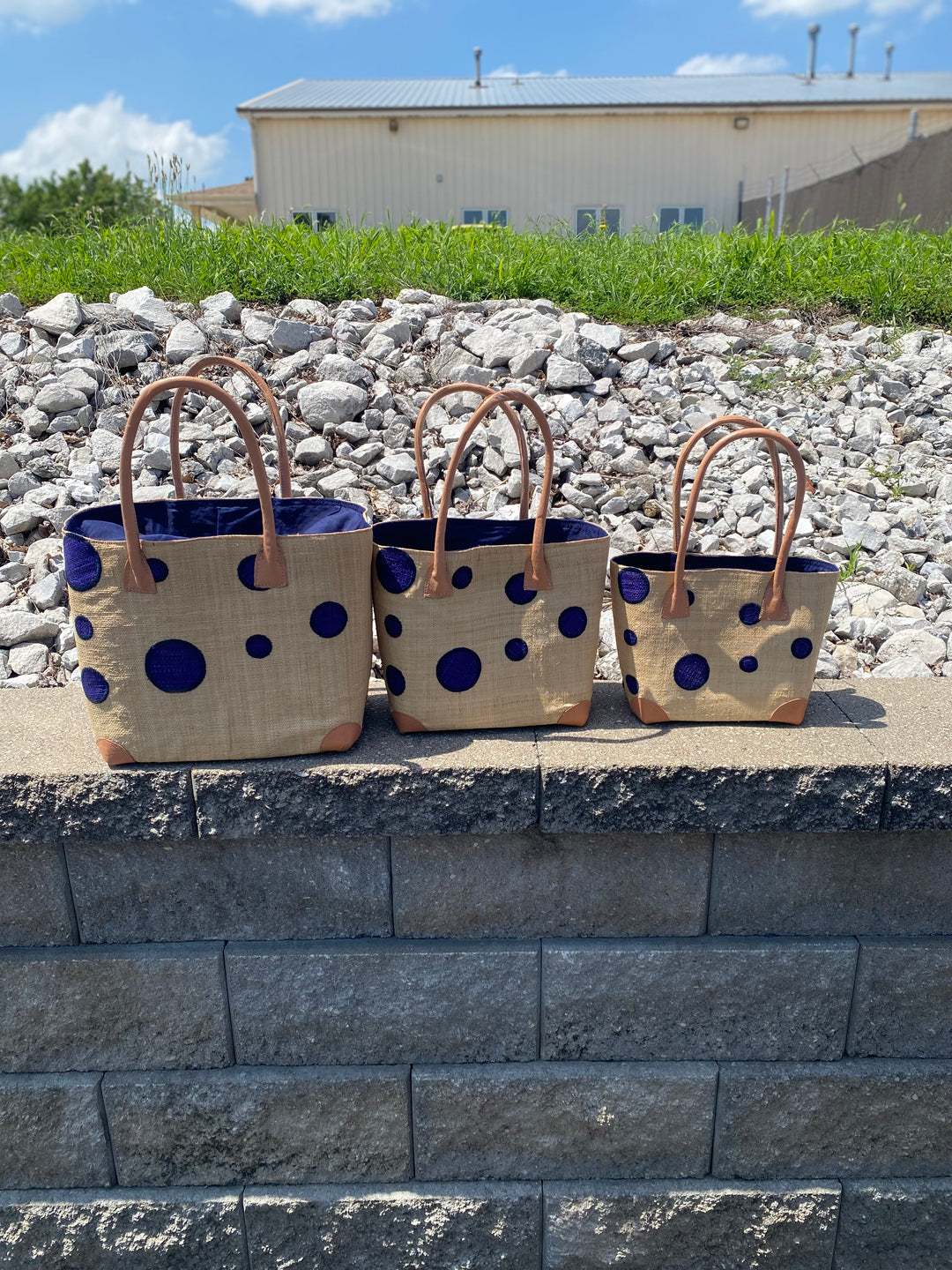 Madagascar Dotted Abstract Tote Bag